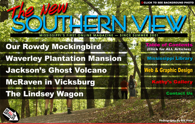 The New Southern View Online Magazine, Mississippi's First Online Magazine, Since Summer 2001